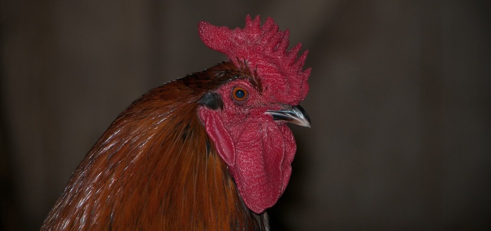 20110815-ESC_2630_hd.jpg 20110815-ESC_2630_hd.jpg